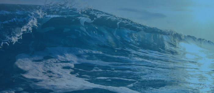 Omnichannel Marketing vs. Multichannel Marketing: What Is the Difference?