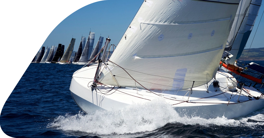 img Synopsis img Synopsis